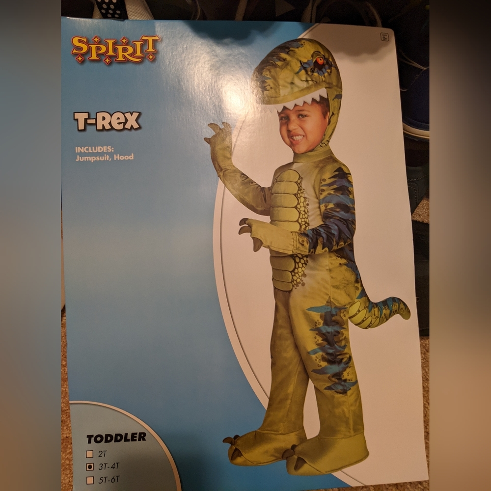 Kids dinosaur costume